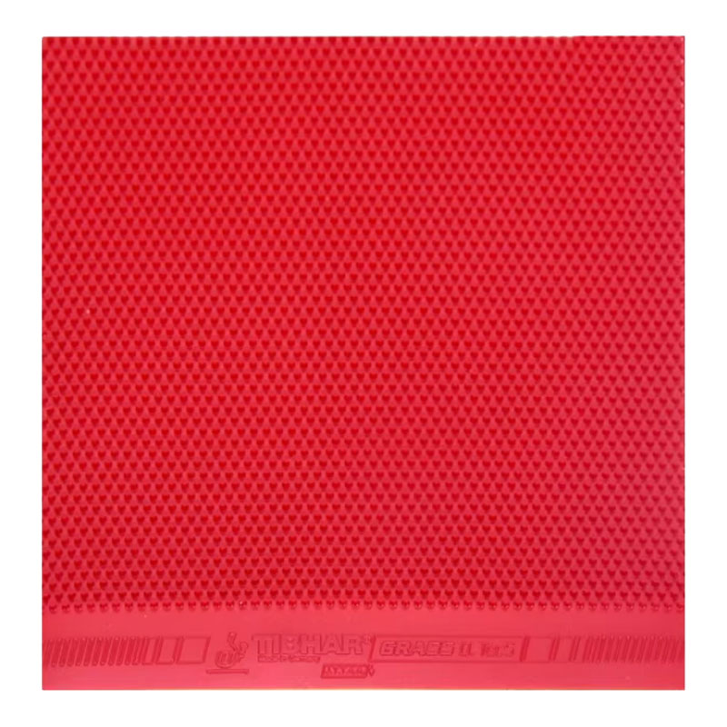 TIBHAR Grass D.TecS Table Tenn - Table Tennis Film review and price