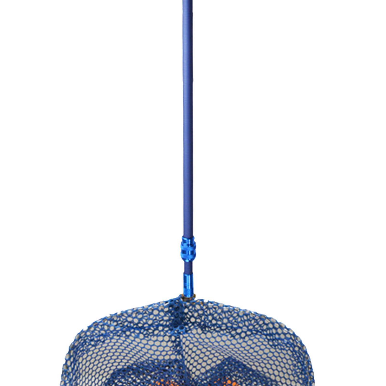 Carbon Fiber Table Tennis Ball - Table Tennis Zlc review and price