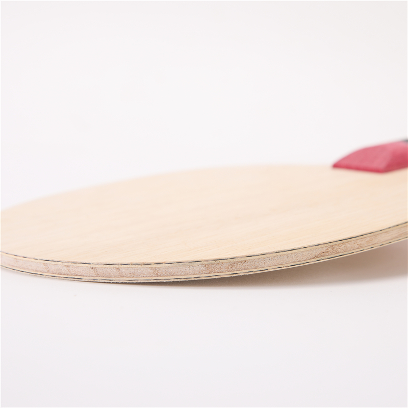 Stuor 5 Layers Wood With 2 Lay - Table Tennis Zlc review and price